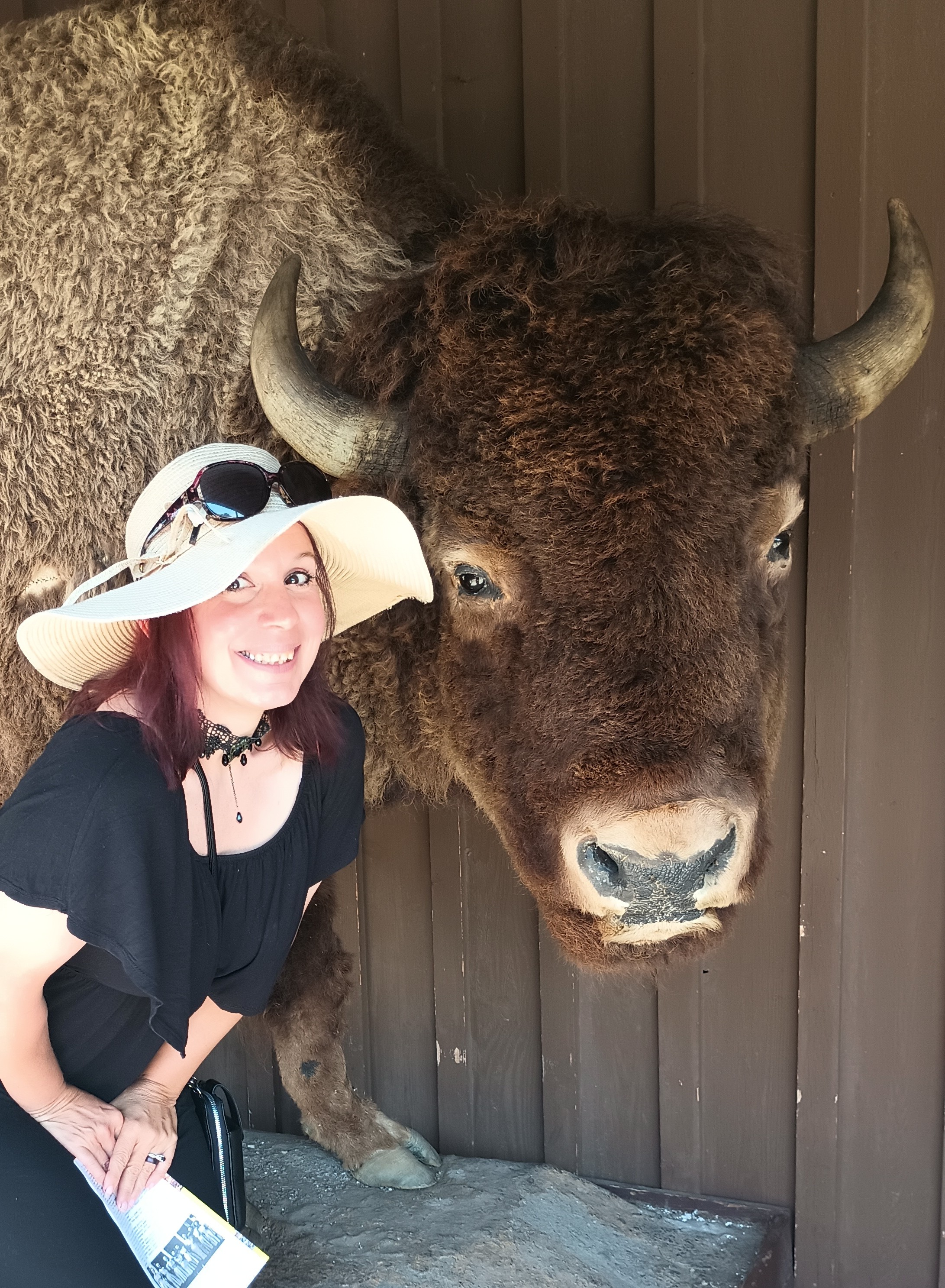 Jess Greco, founder of Starter Site Co, campground SEO specialist with bison at Wall Drug.